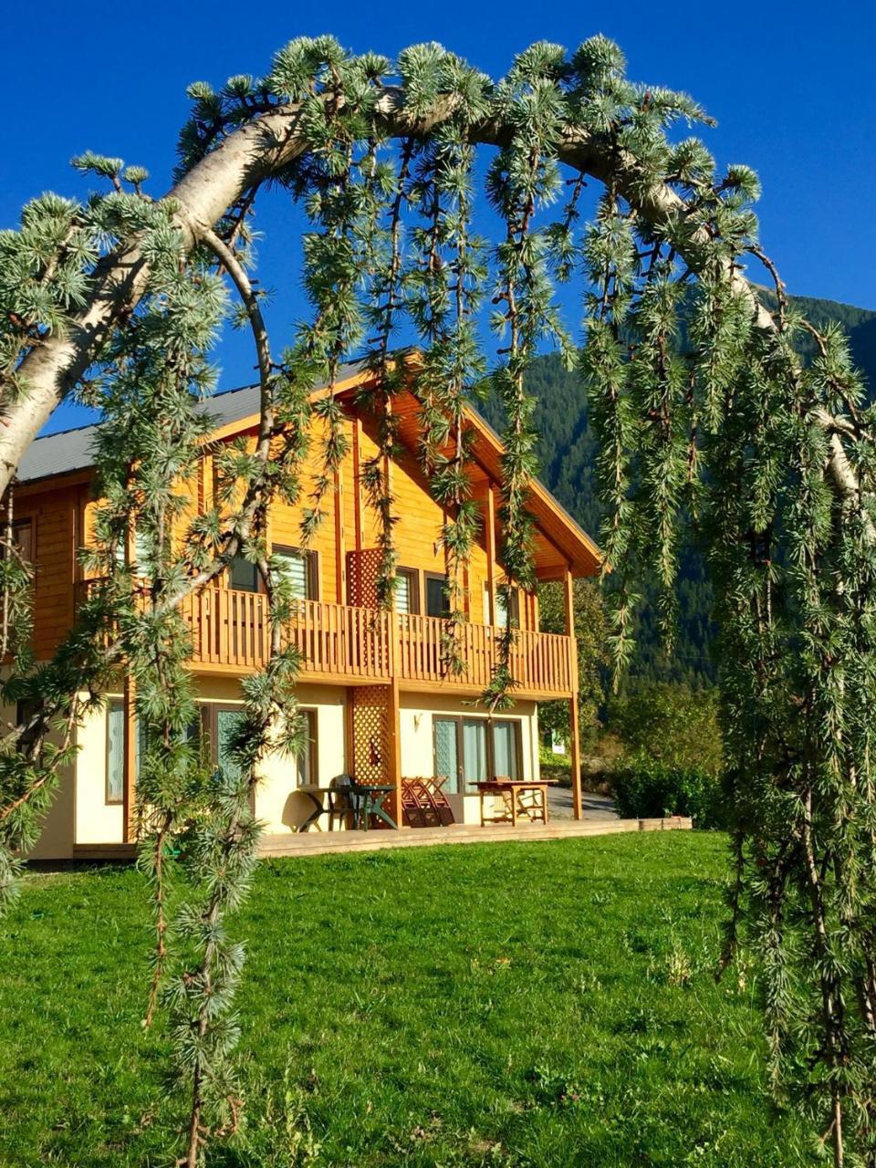 Les Chalets Fleurs De France - Kota Saint-Dalmas Dış mekan fotoğraf