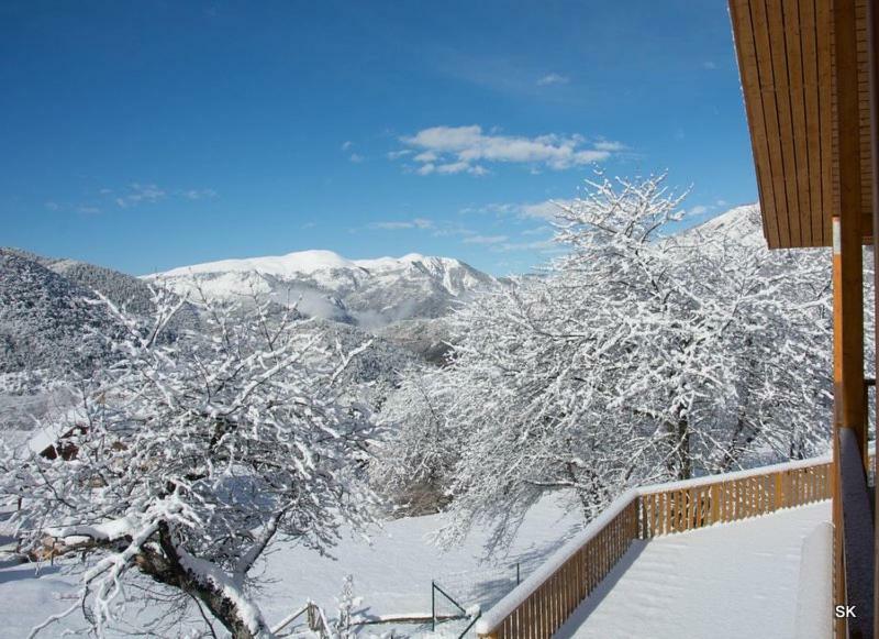 Les Chalets Fleurs De France - Kota Saint-Dalmas Dış mekan fotoğraf